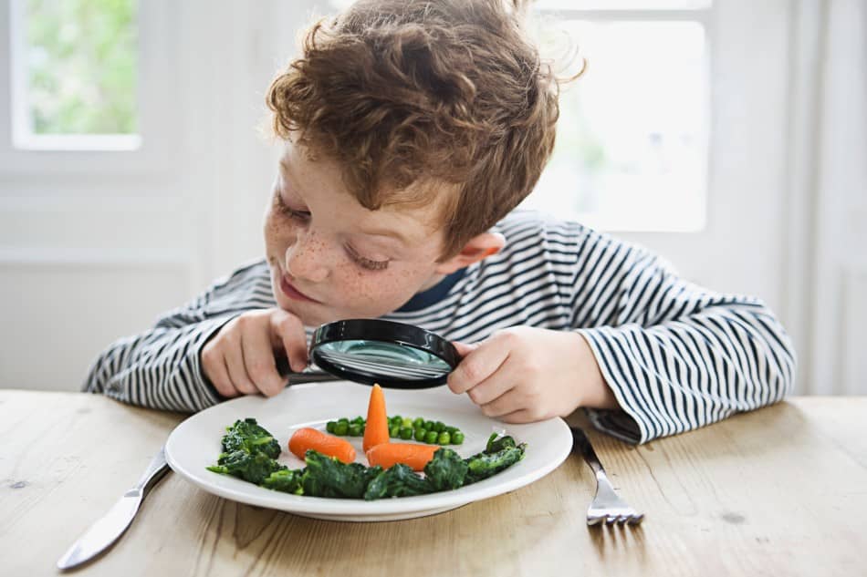 Tips for Dealing with a Picky Eater